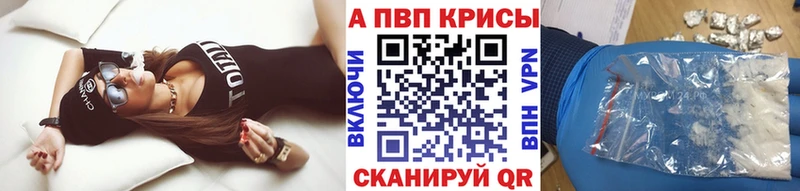 Купить закладки  Тайшет  Alfa_PVP крисы CK 