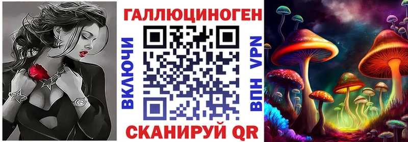 Псилоцибиновые грибы Psilocybine cubensis  Купить закладки  Тайшет 